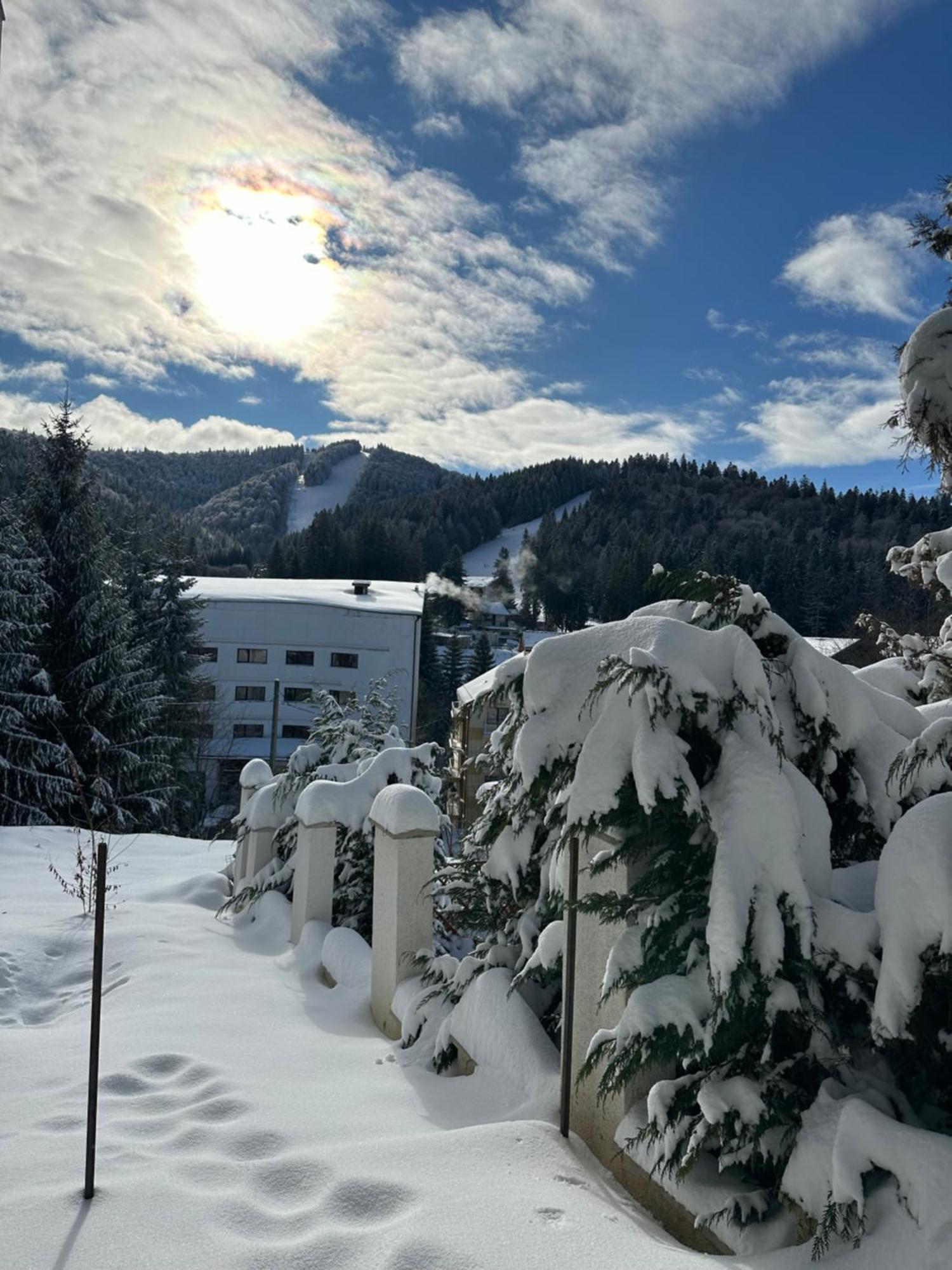 Apartament Bonton Predeal Bagian luar foto
